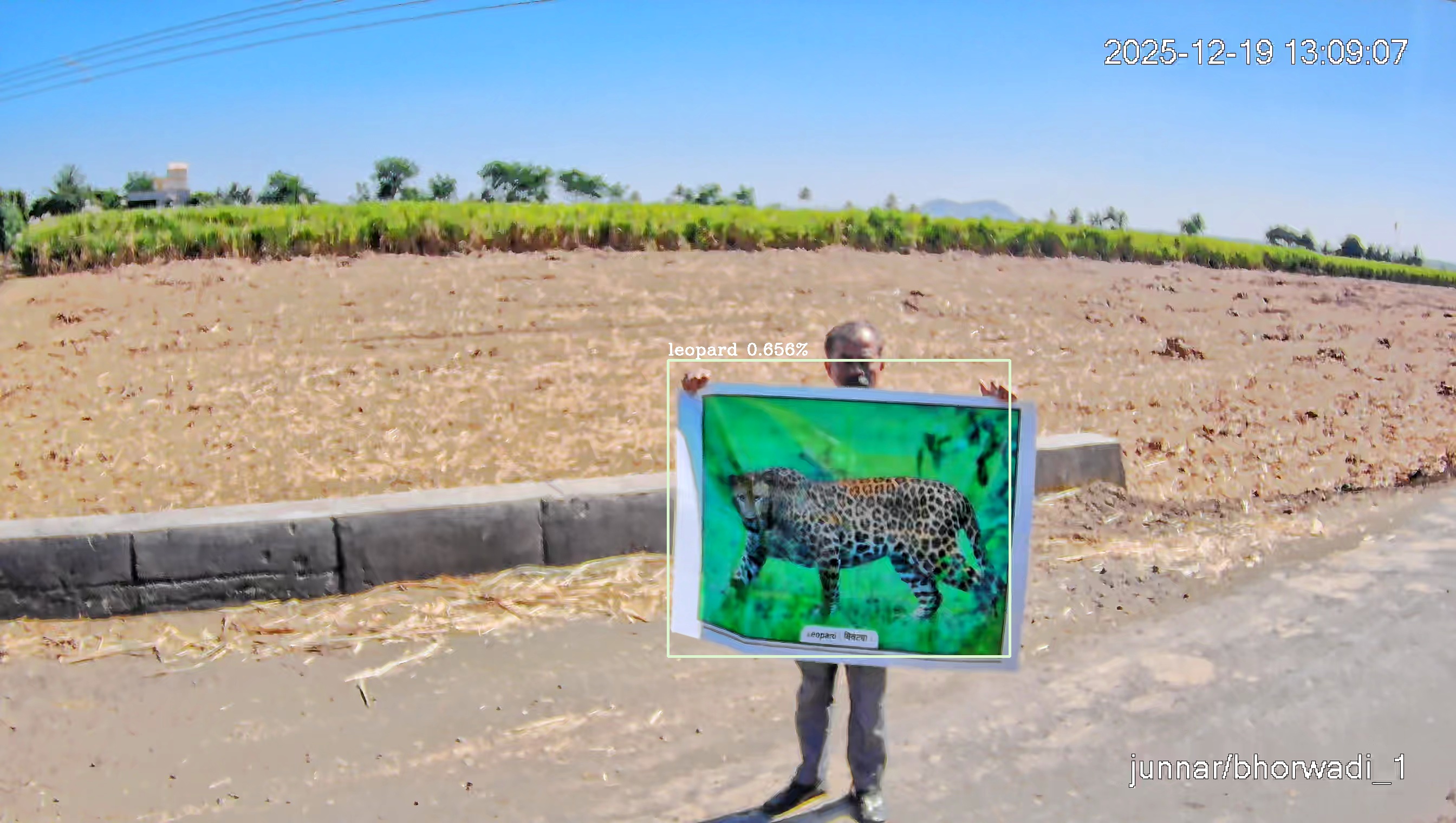 Leopard Image