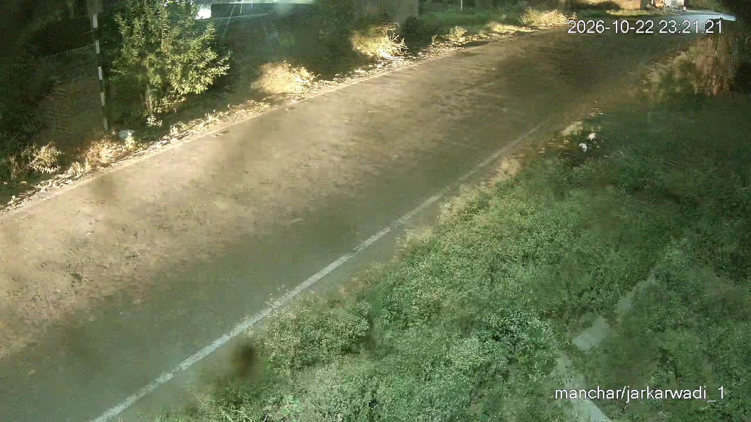 Leopard Image