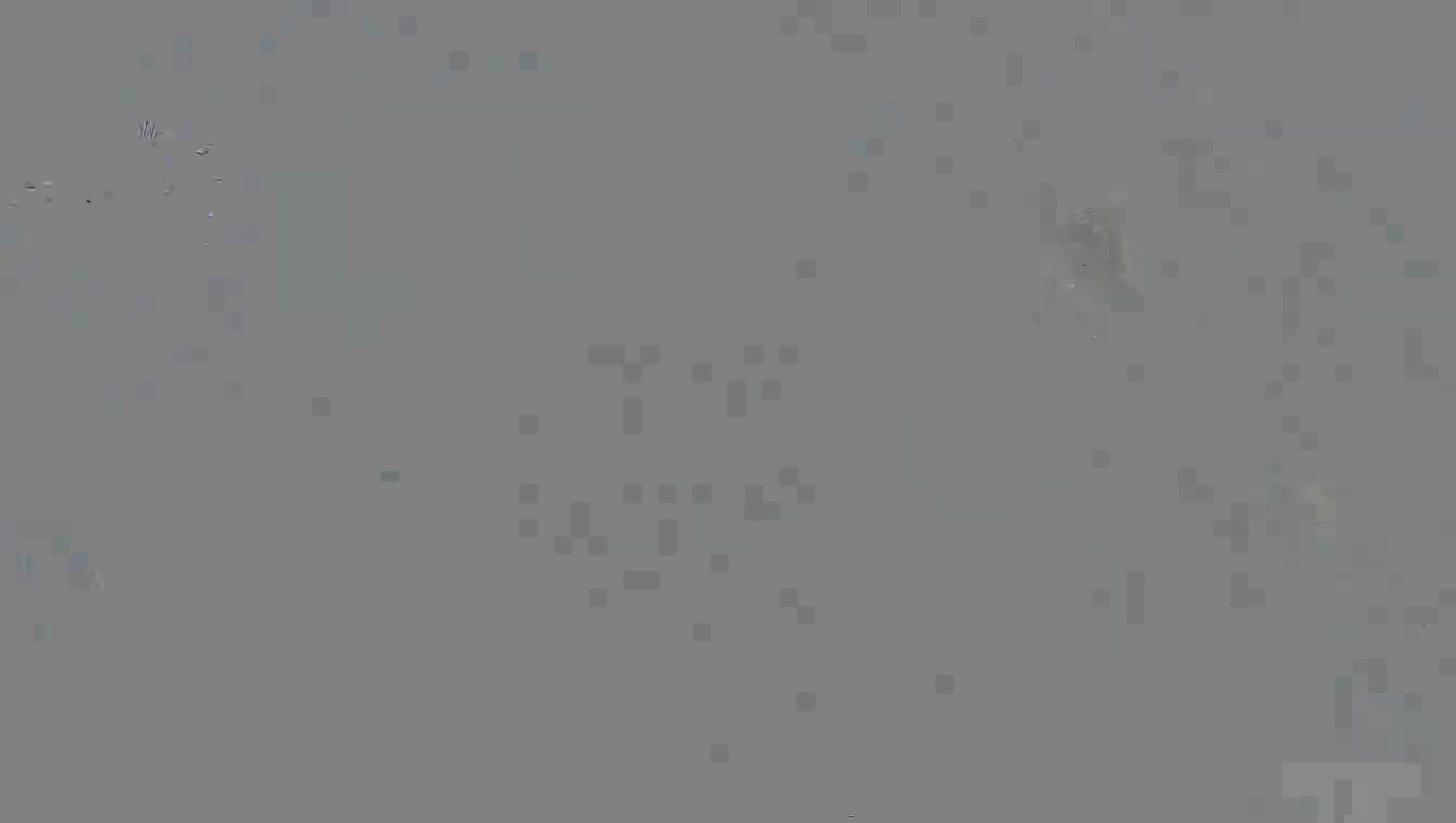 Leopard Image