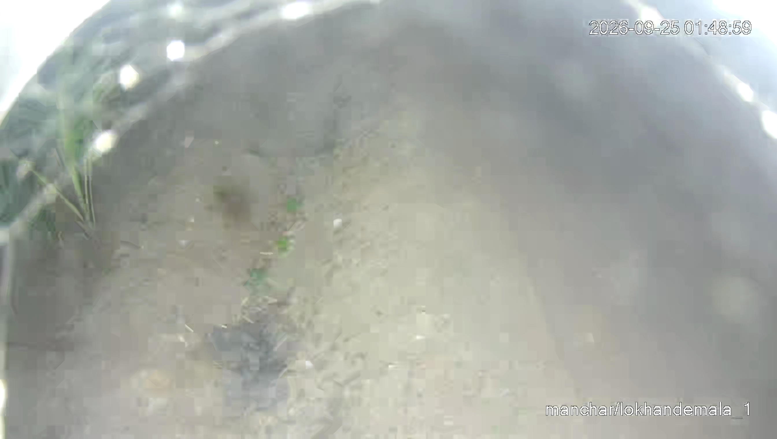 Leopard Image