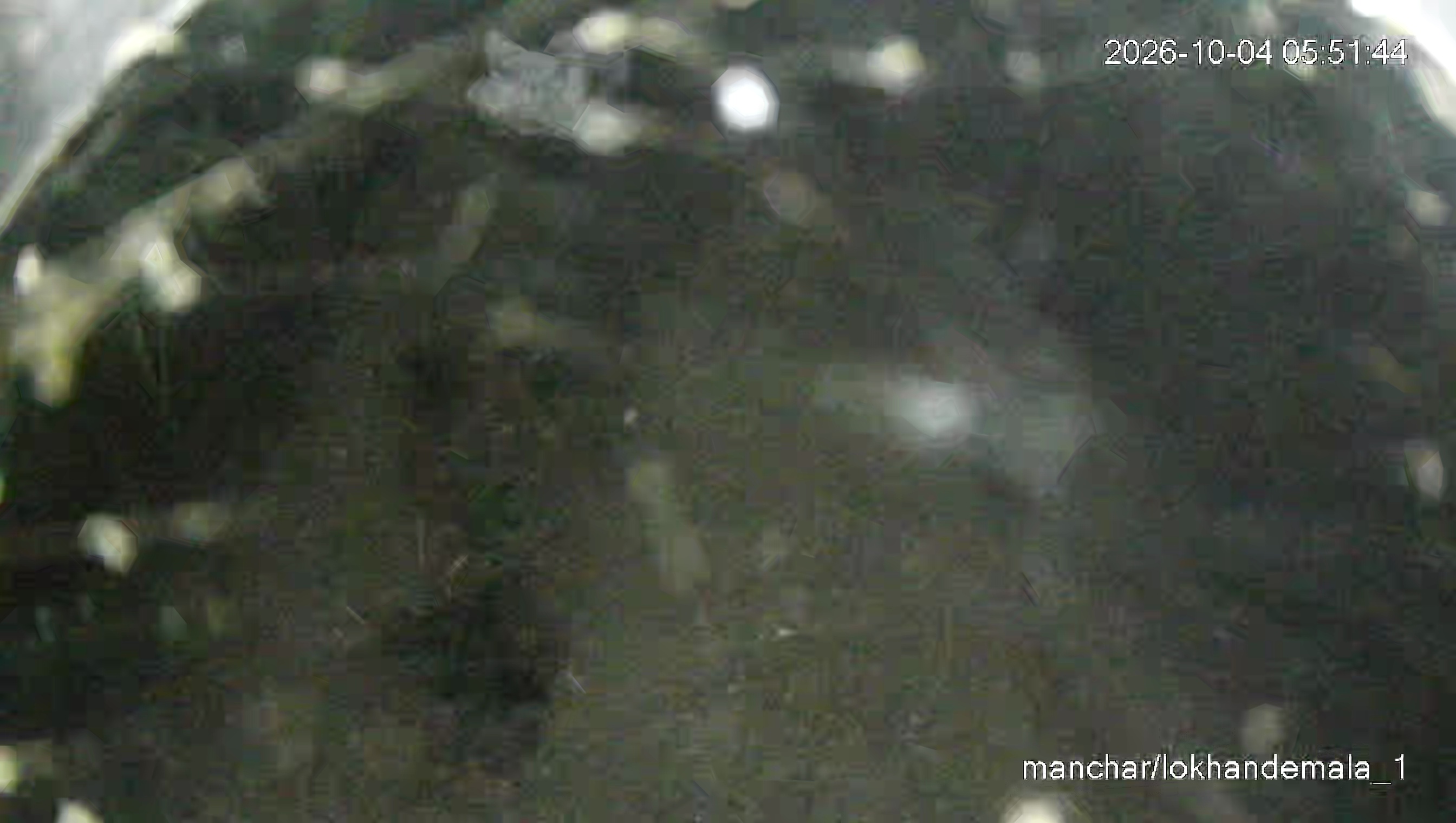 Leopard Image