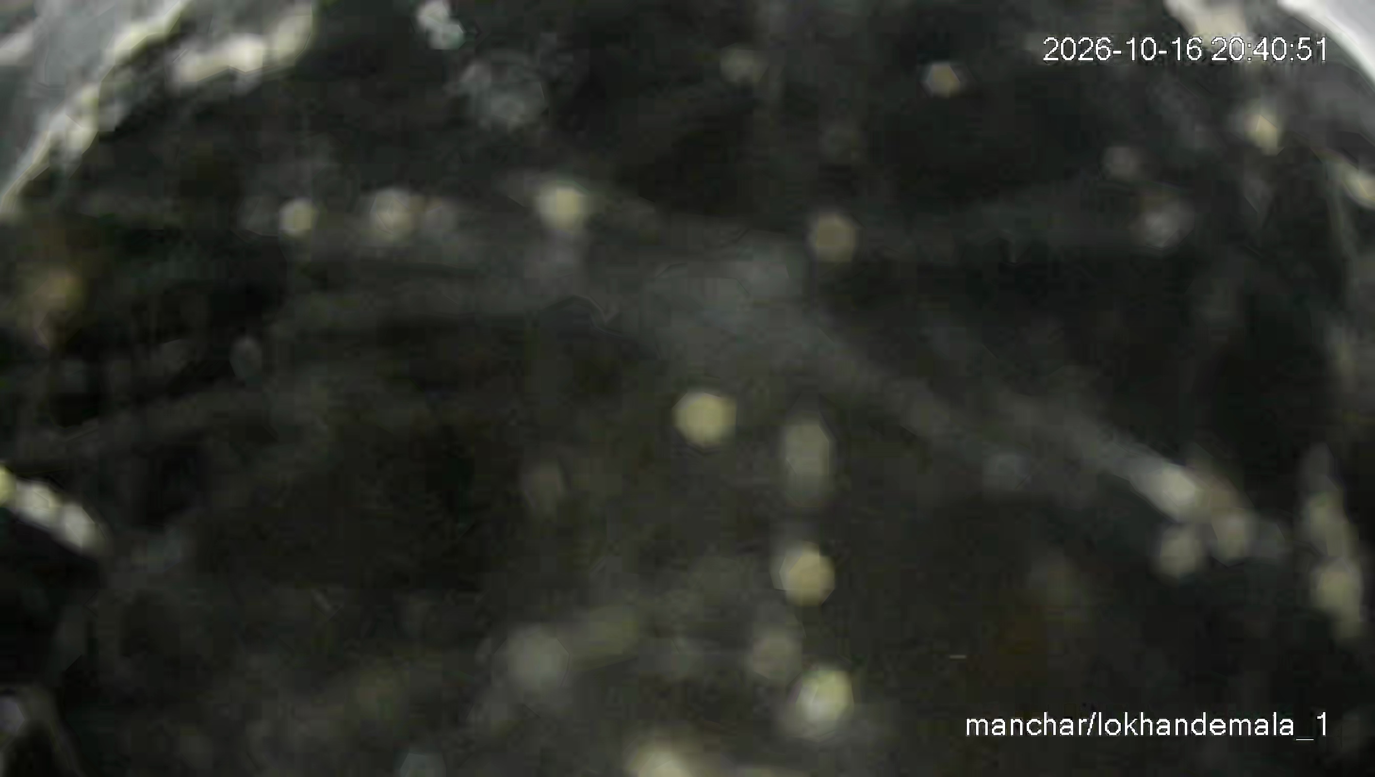 Leopard Image