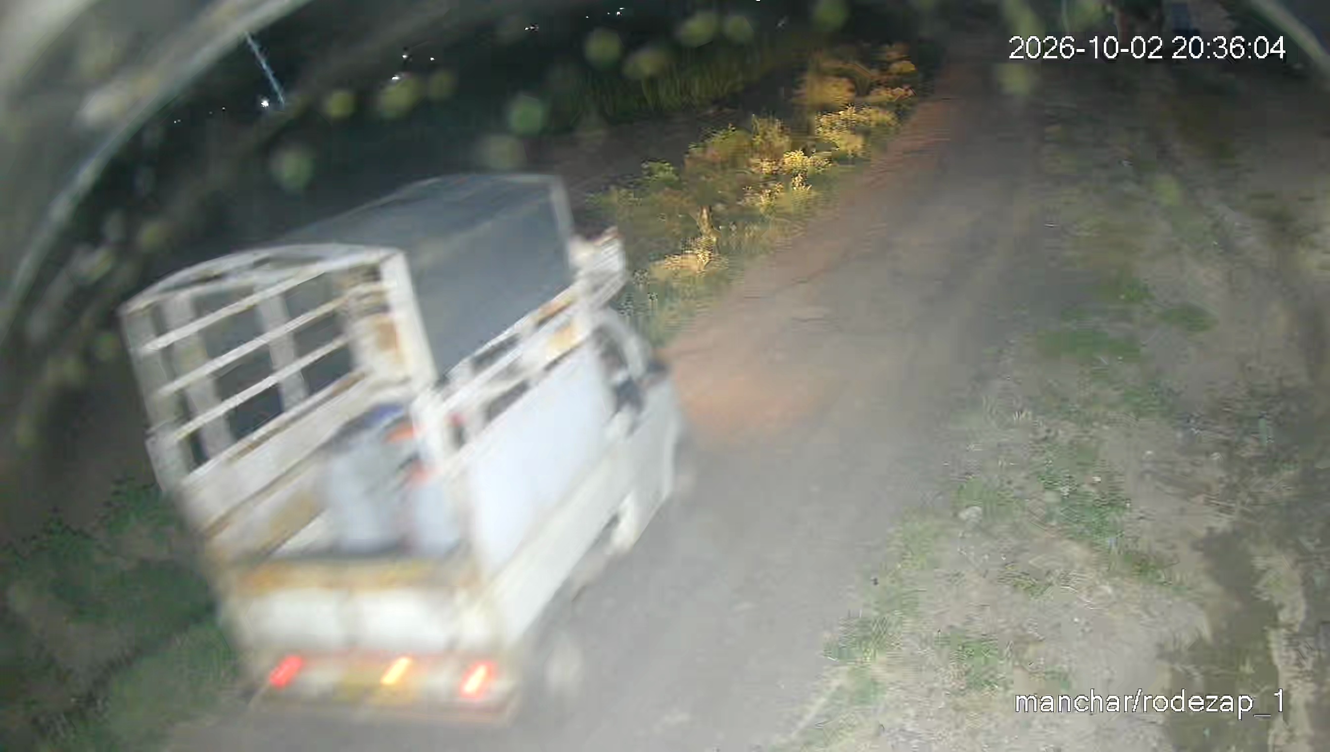 Leopard Image