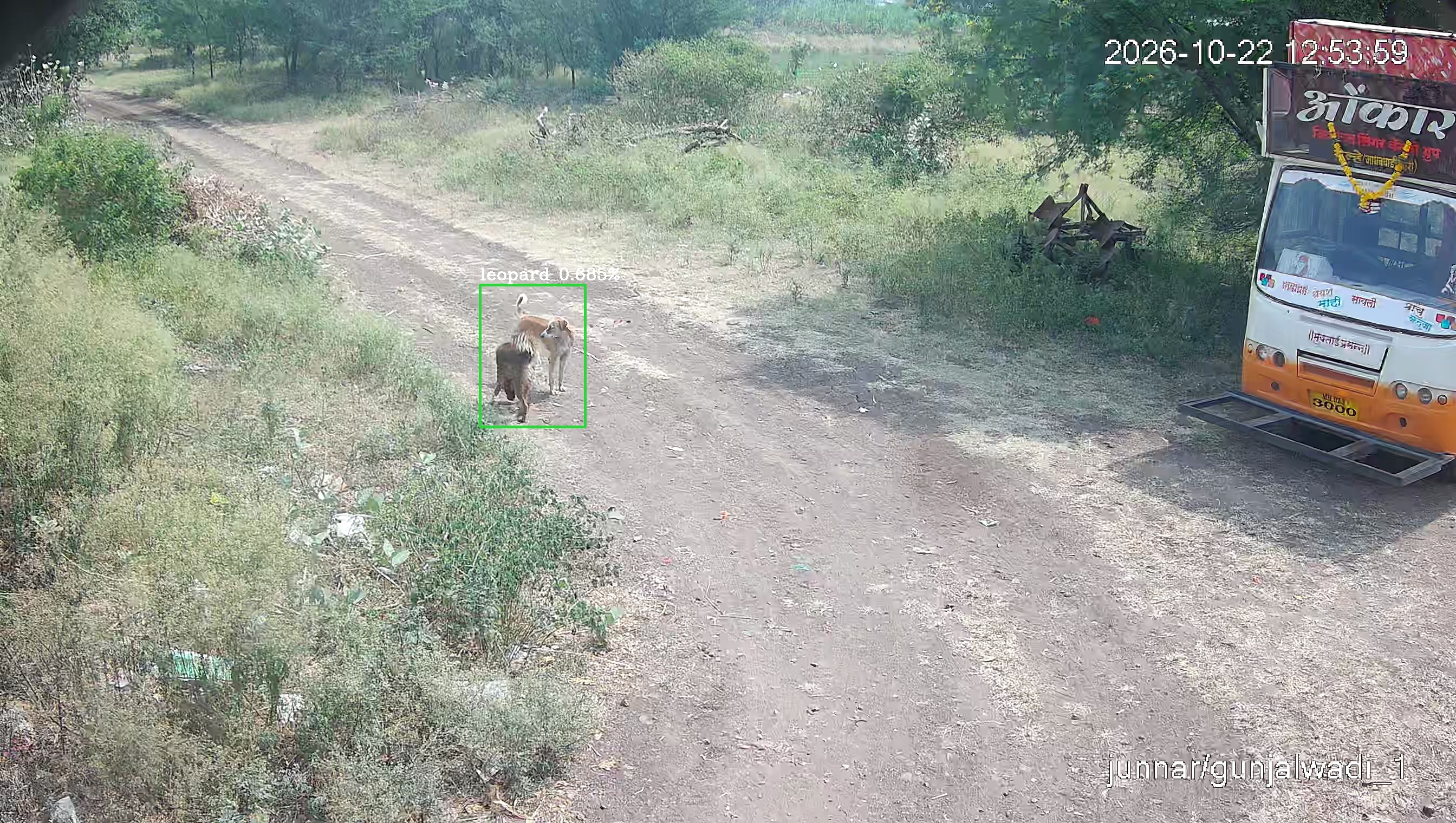 Leopard Image