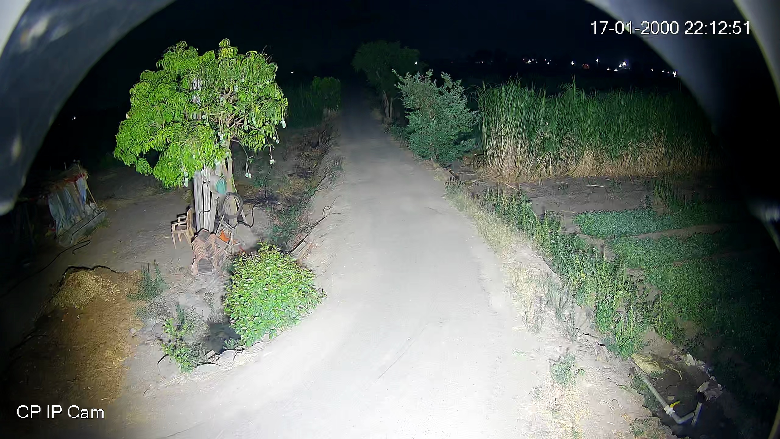 Leopard Image