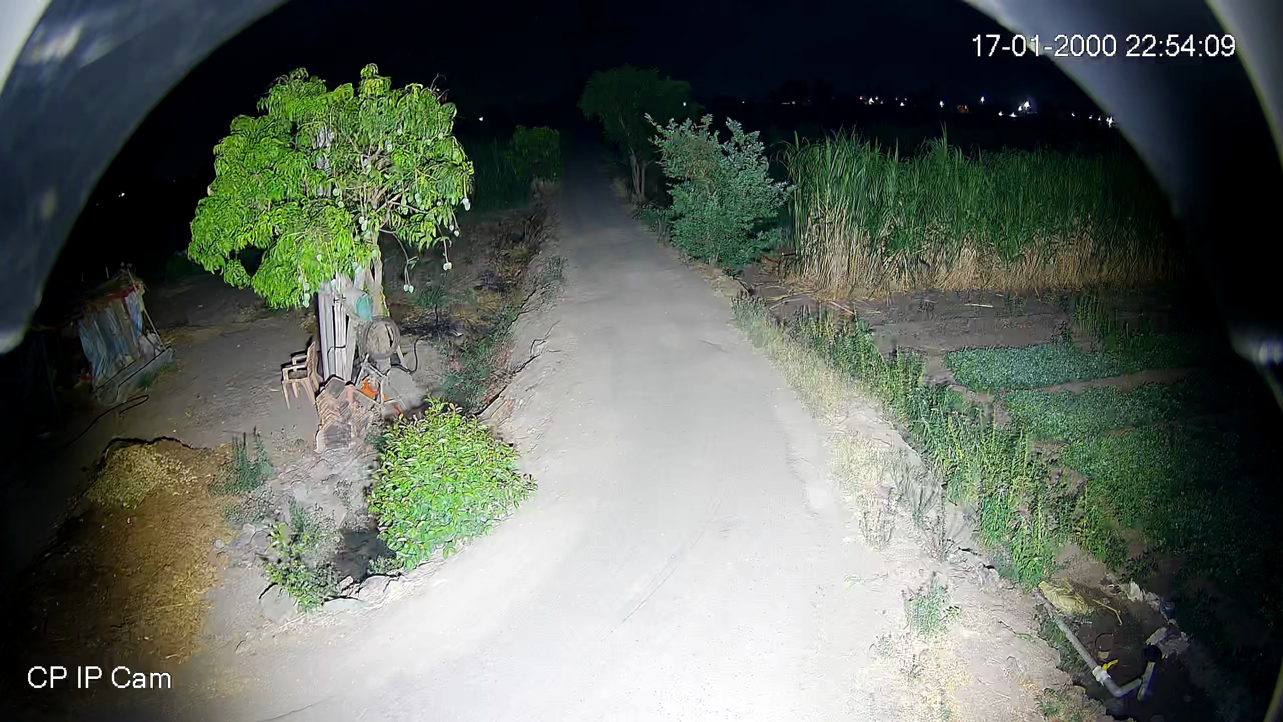 Leopard Image