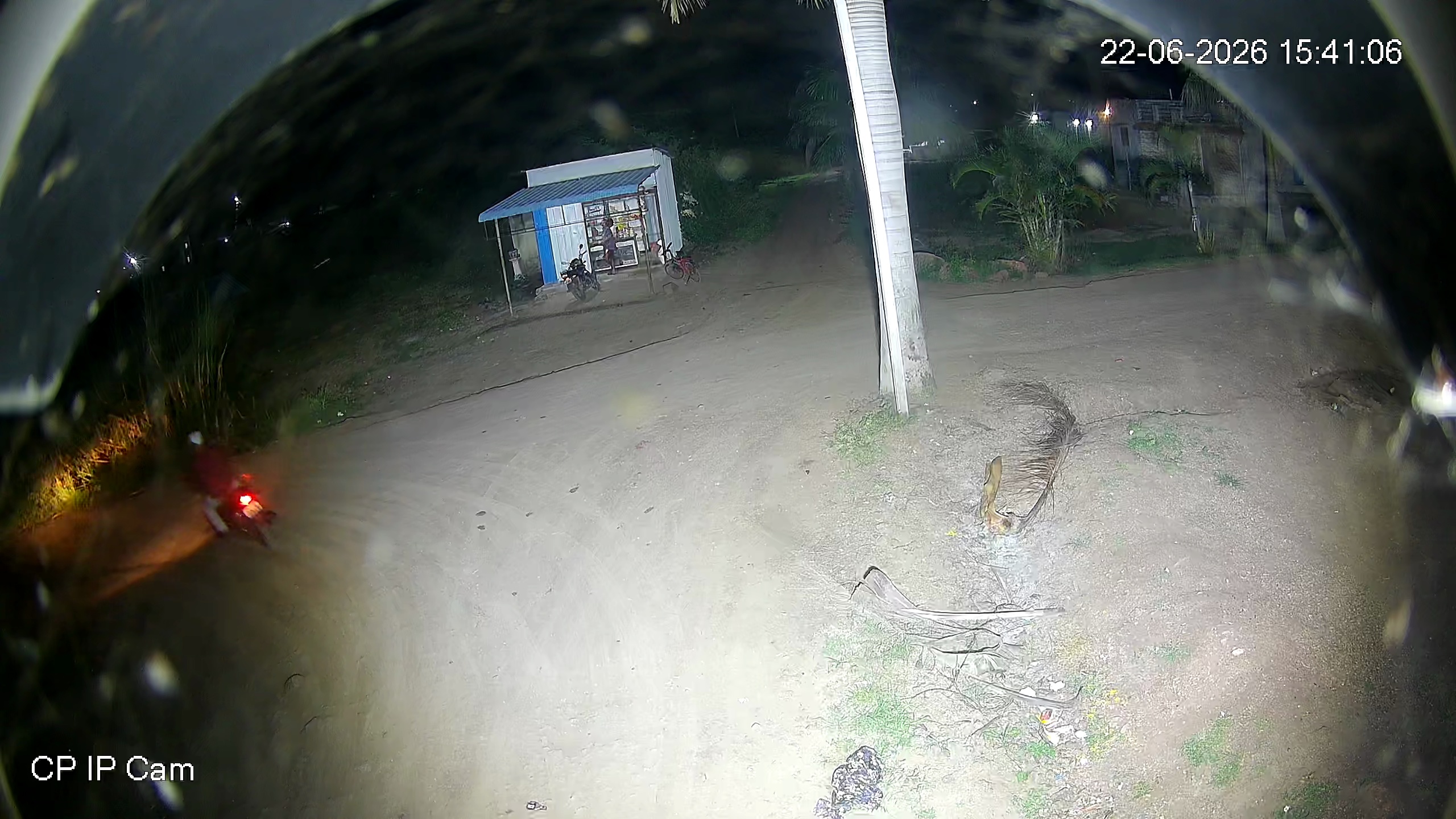 Leopard Image