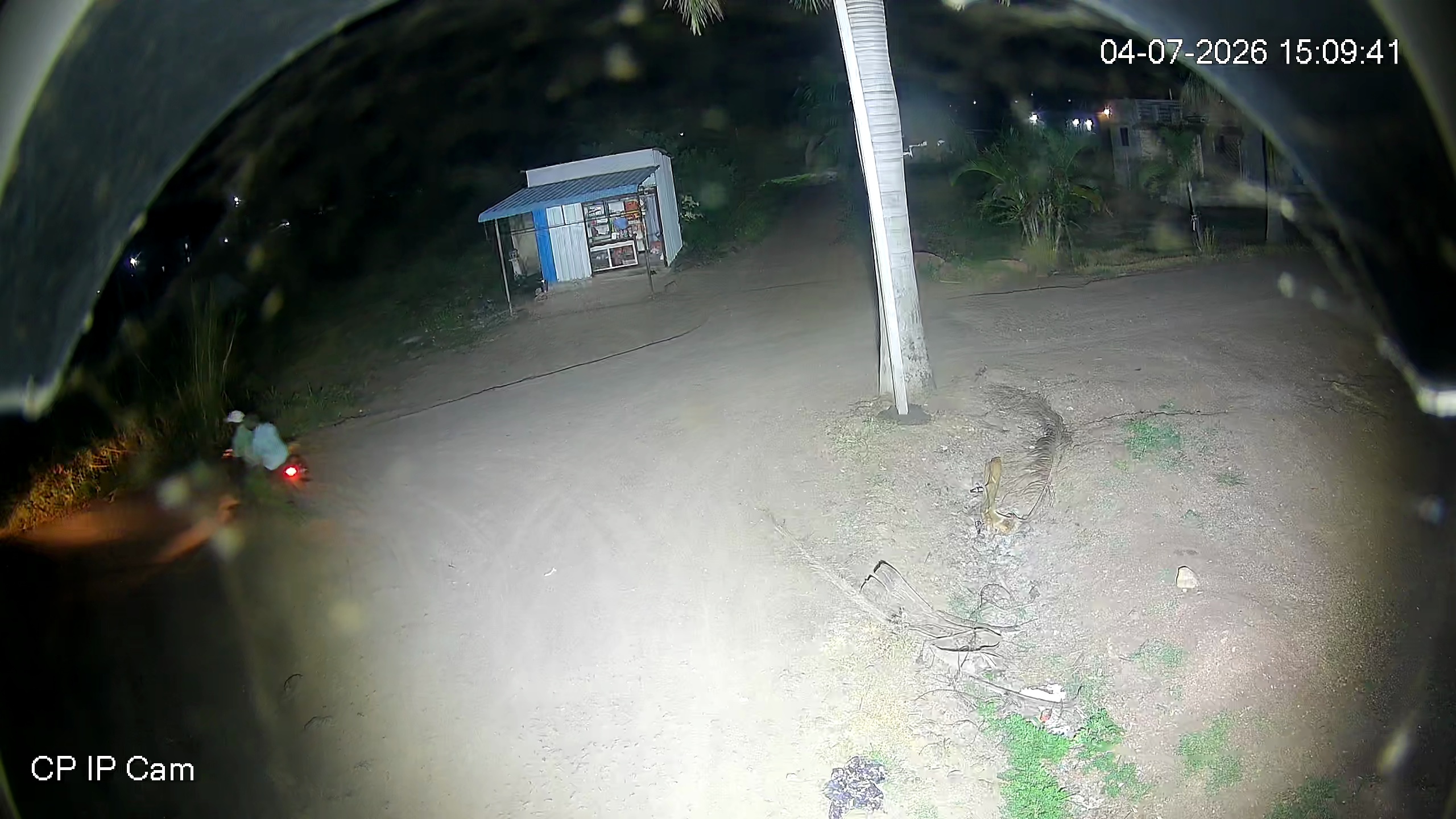 Leopard Image
