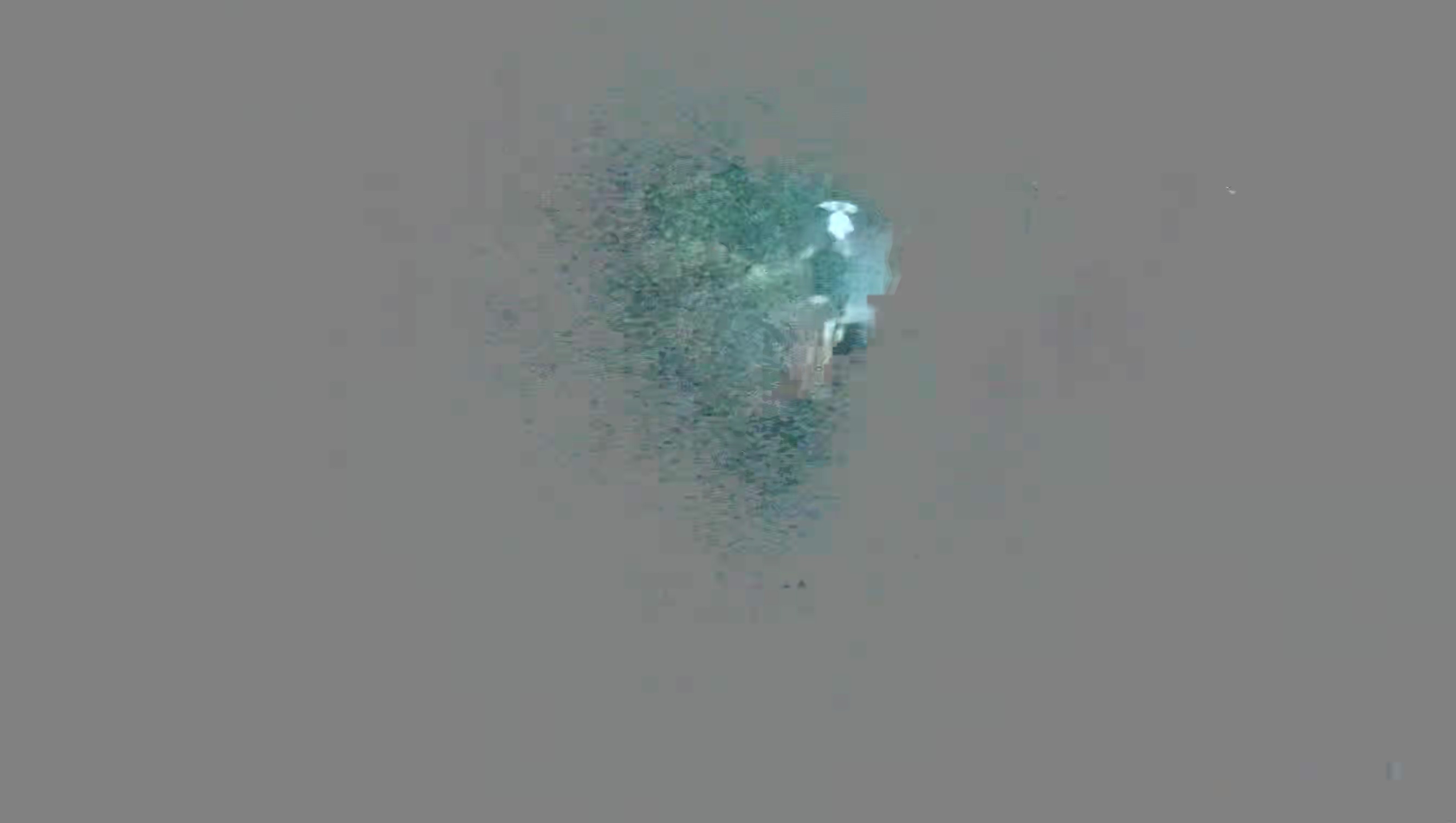 Leopard Image