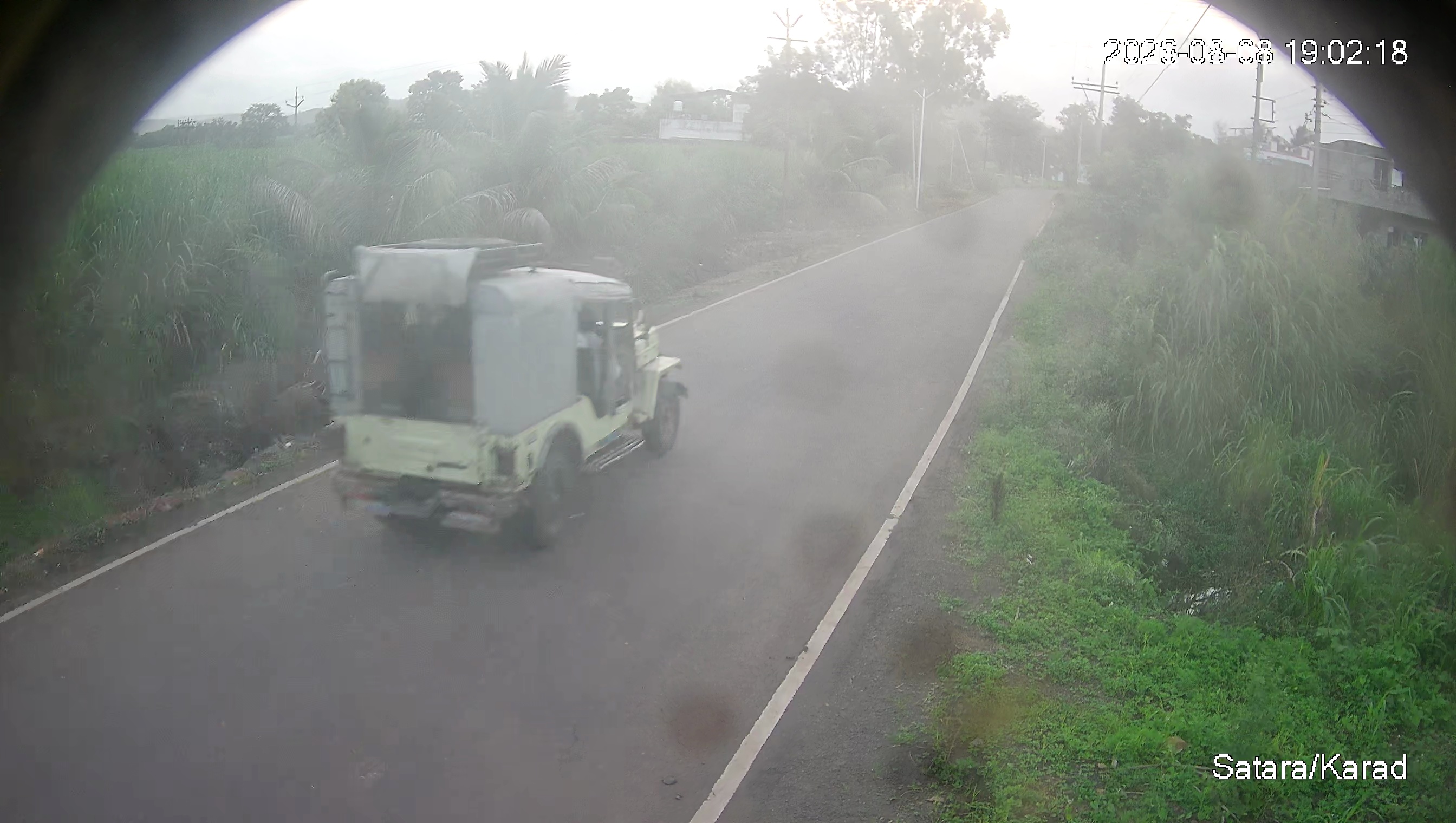 Leopard Image