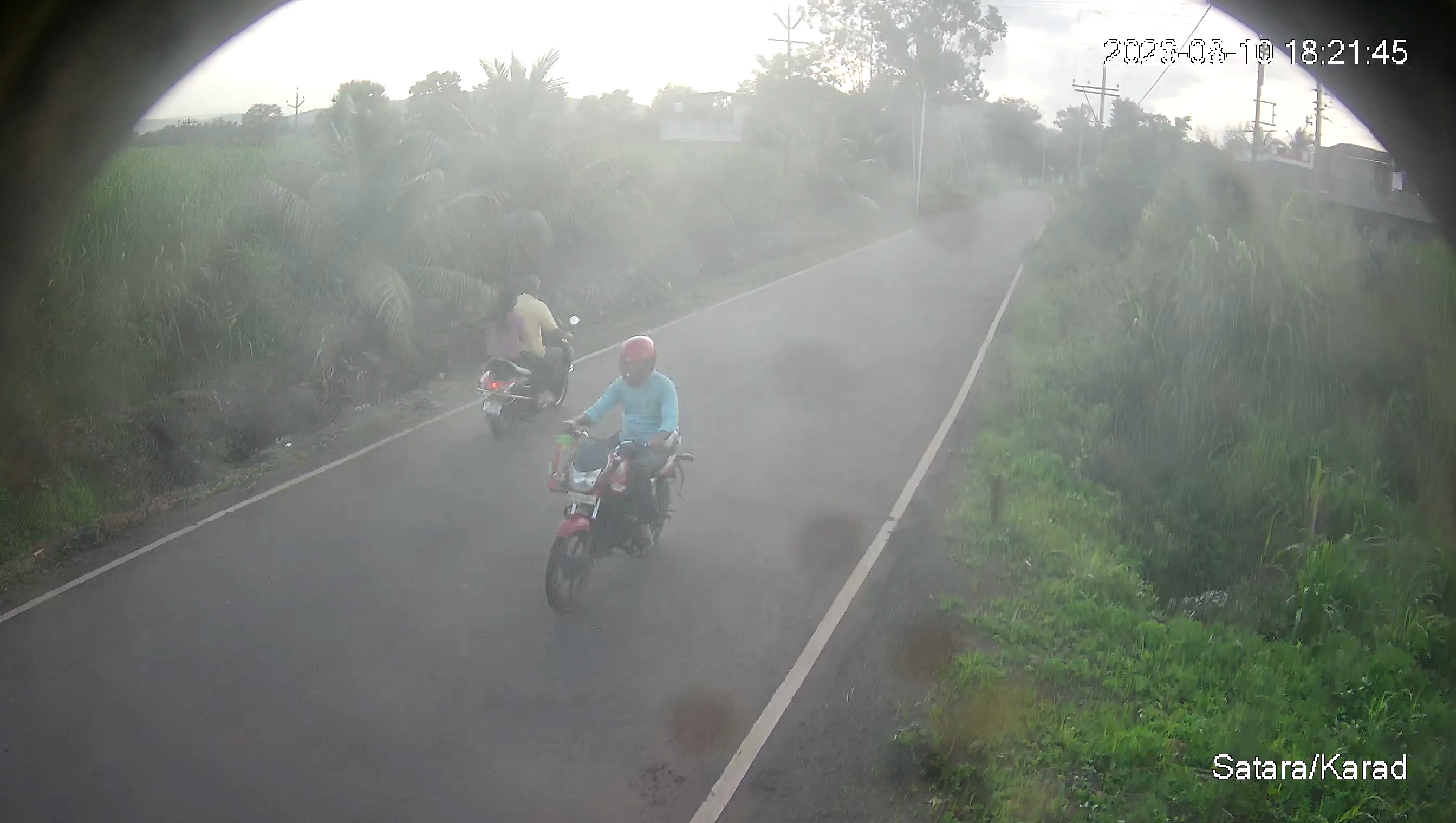 Leopard Image