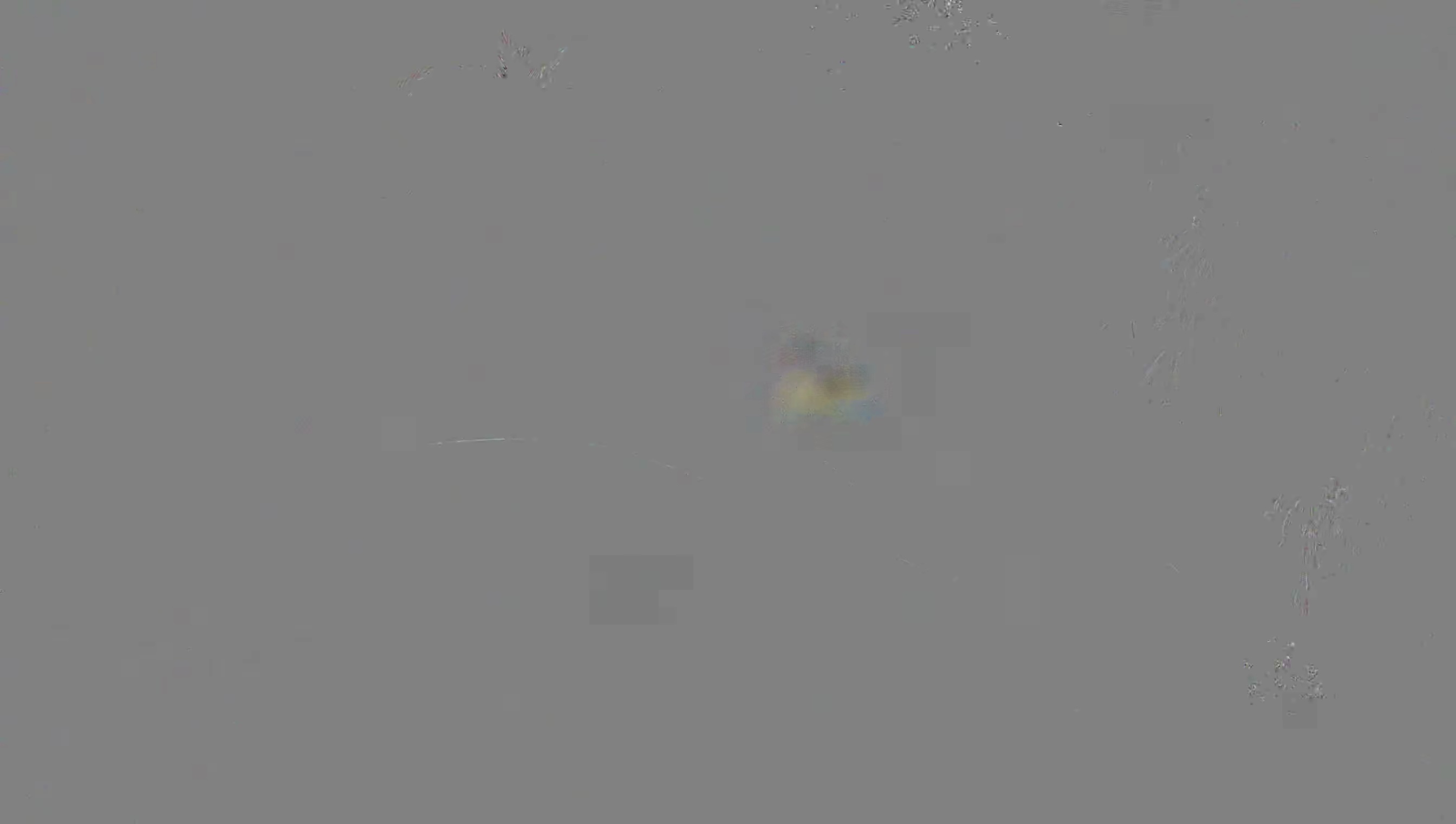 Leopard Image