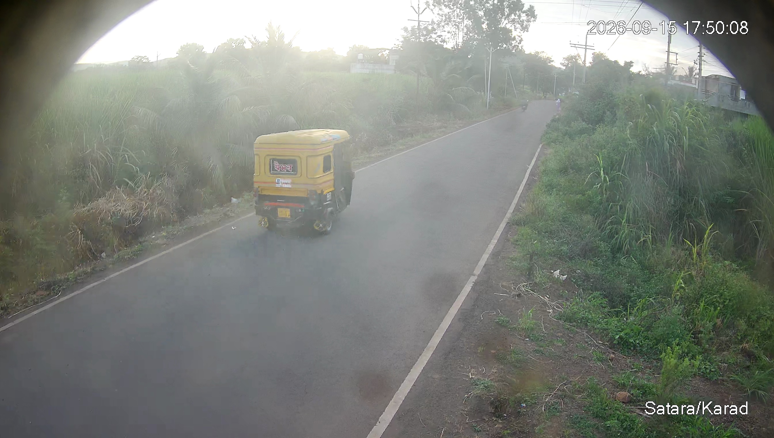 Leopard Image