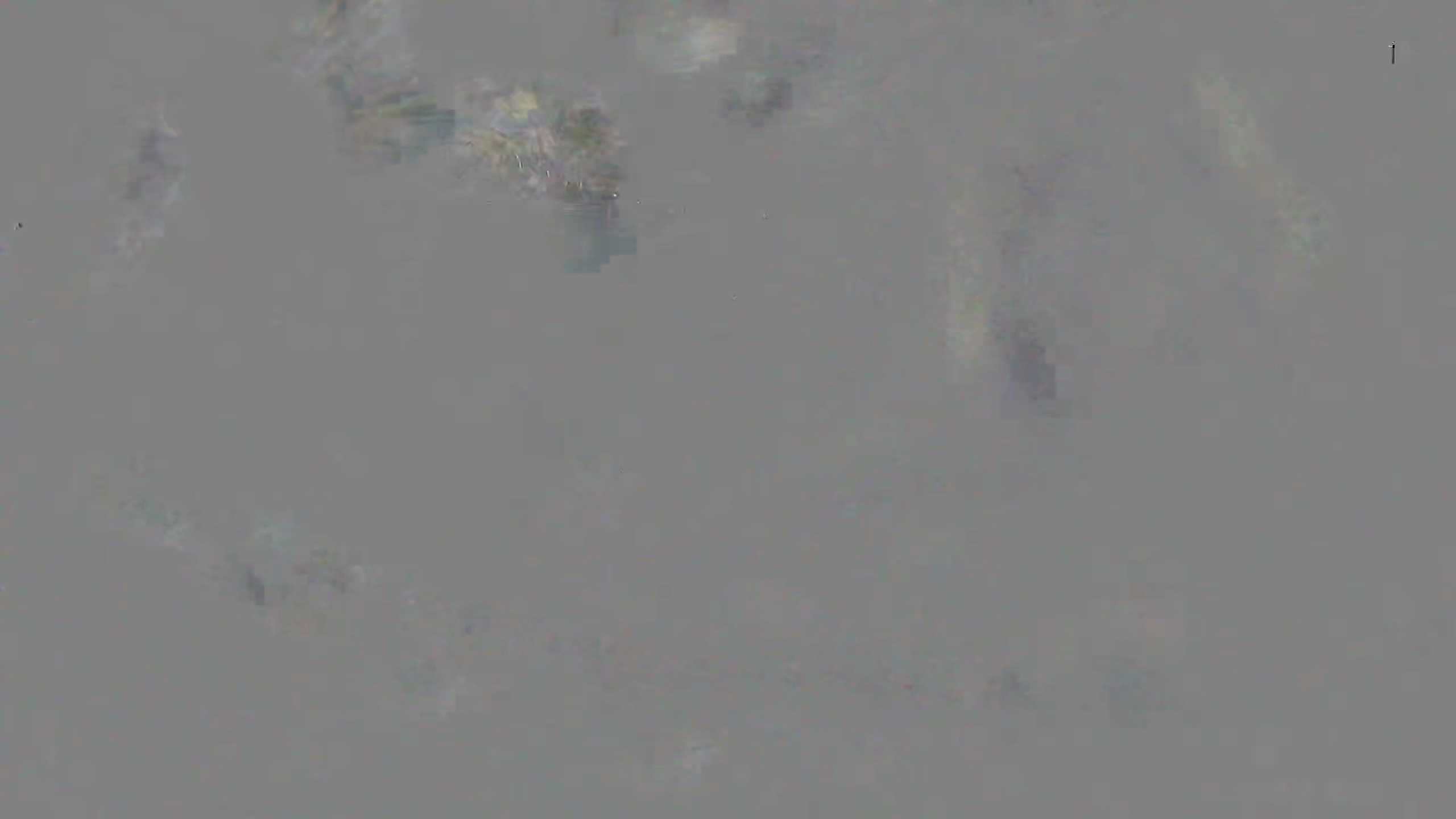 Leopard Image