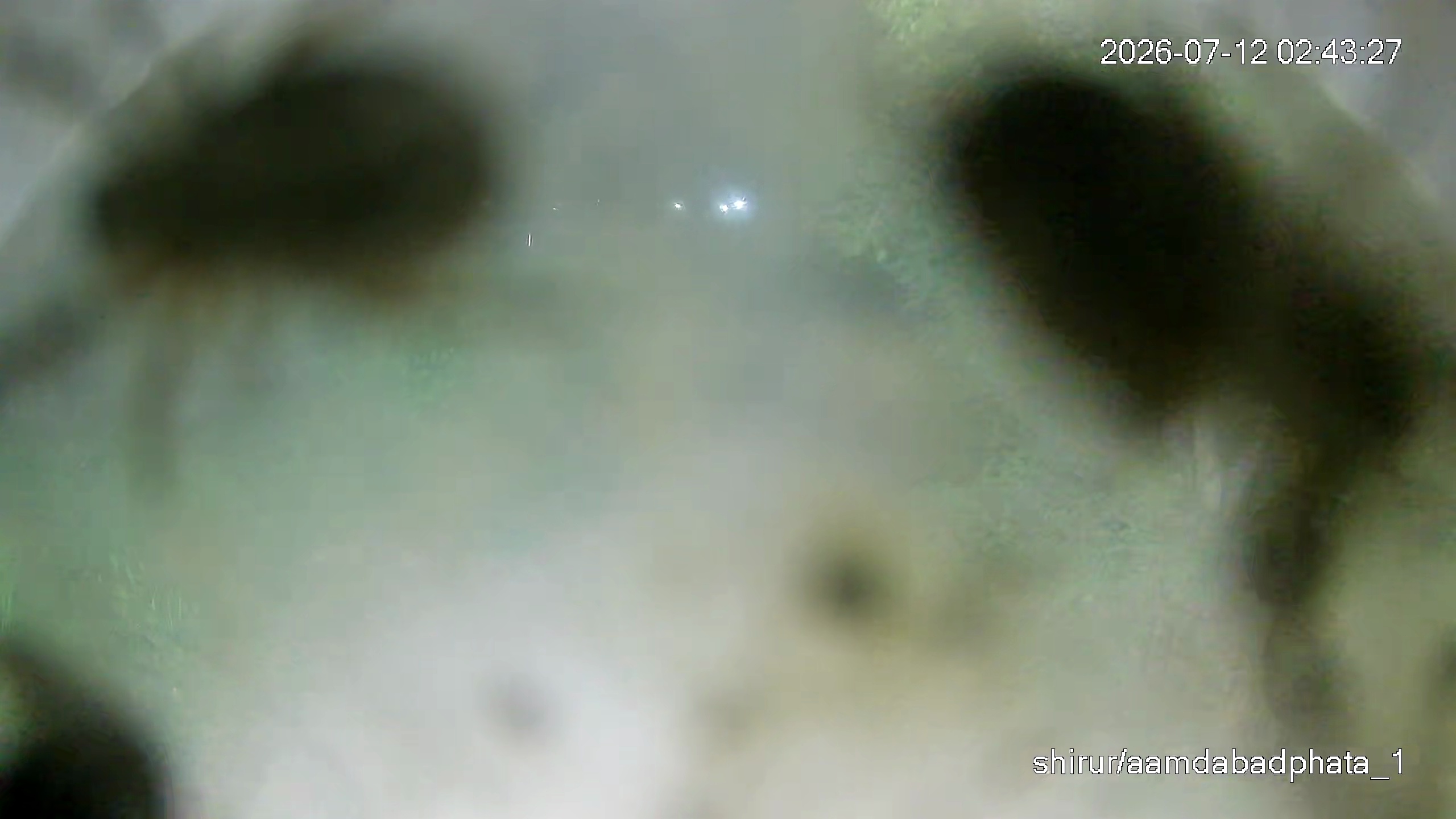 Leopard Image