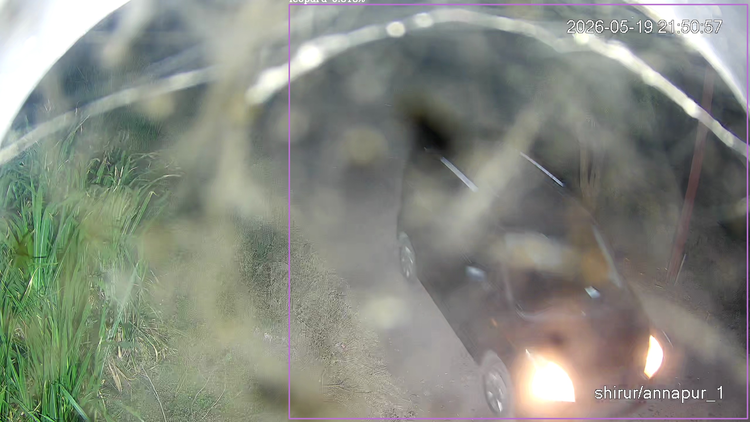 Leopard Image