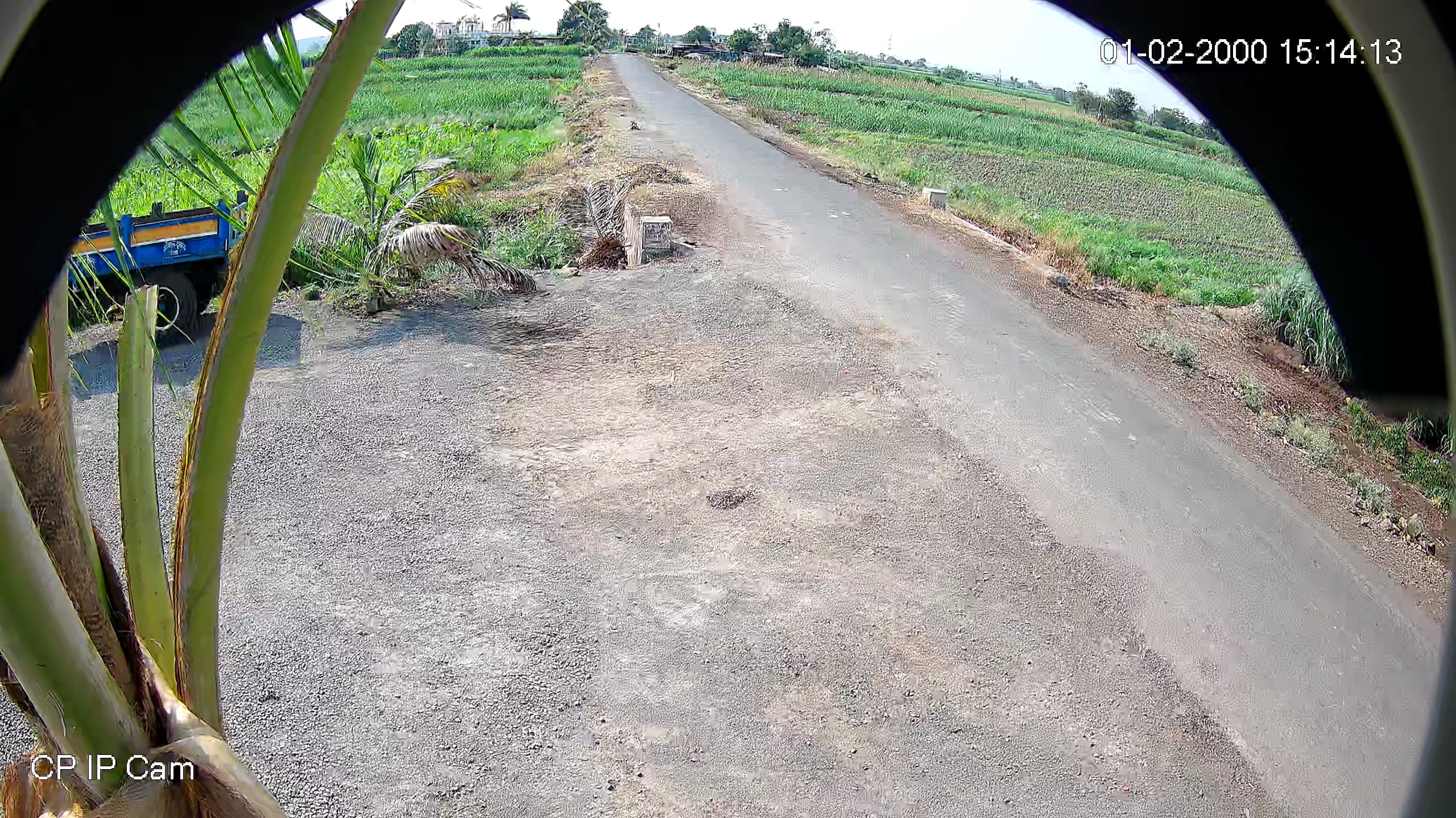 Leopard Image