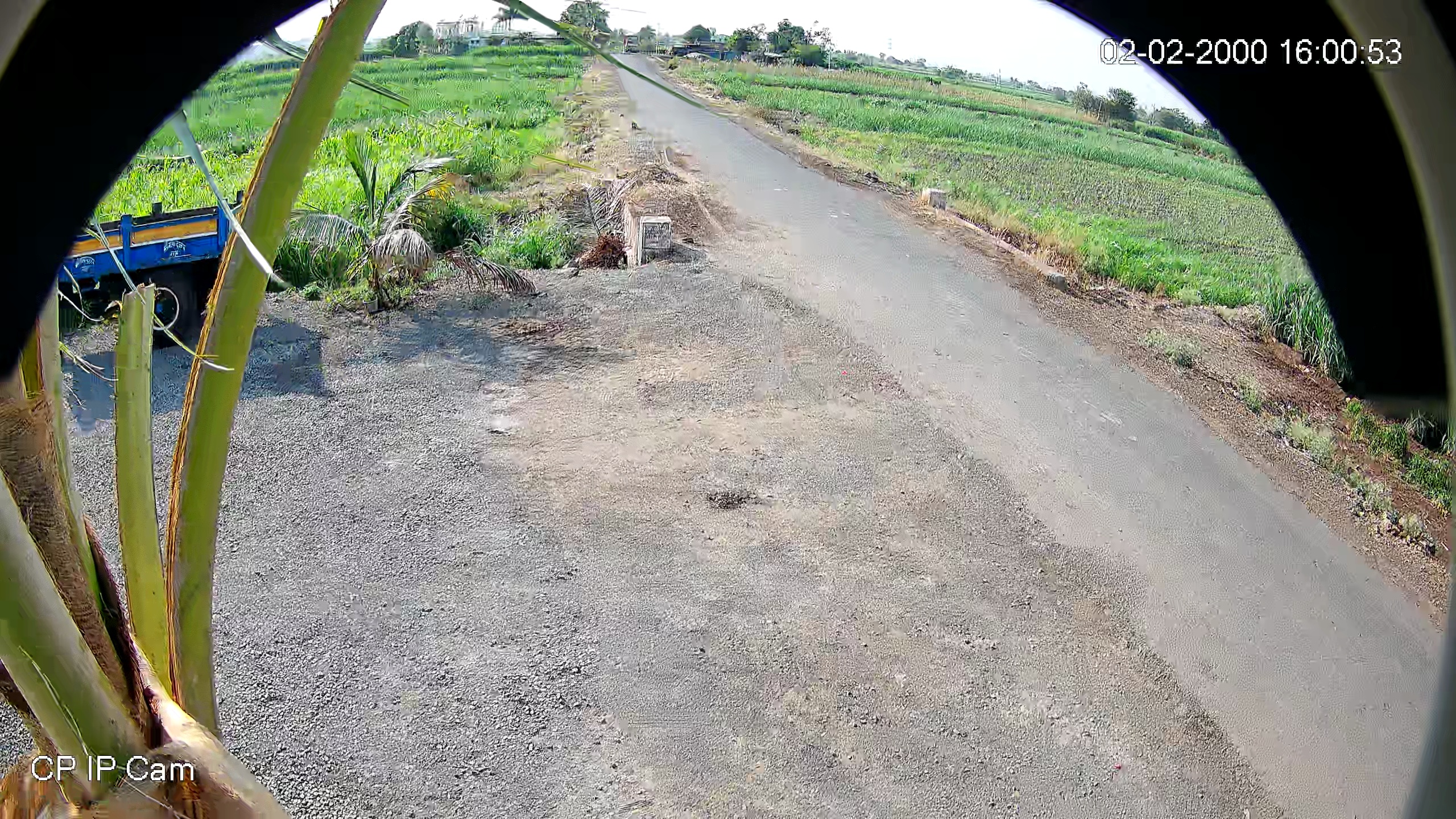 Leopard Image