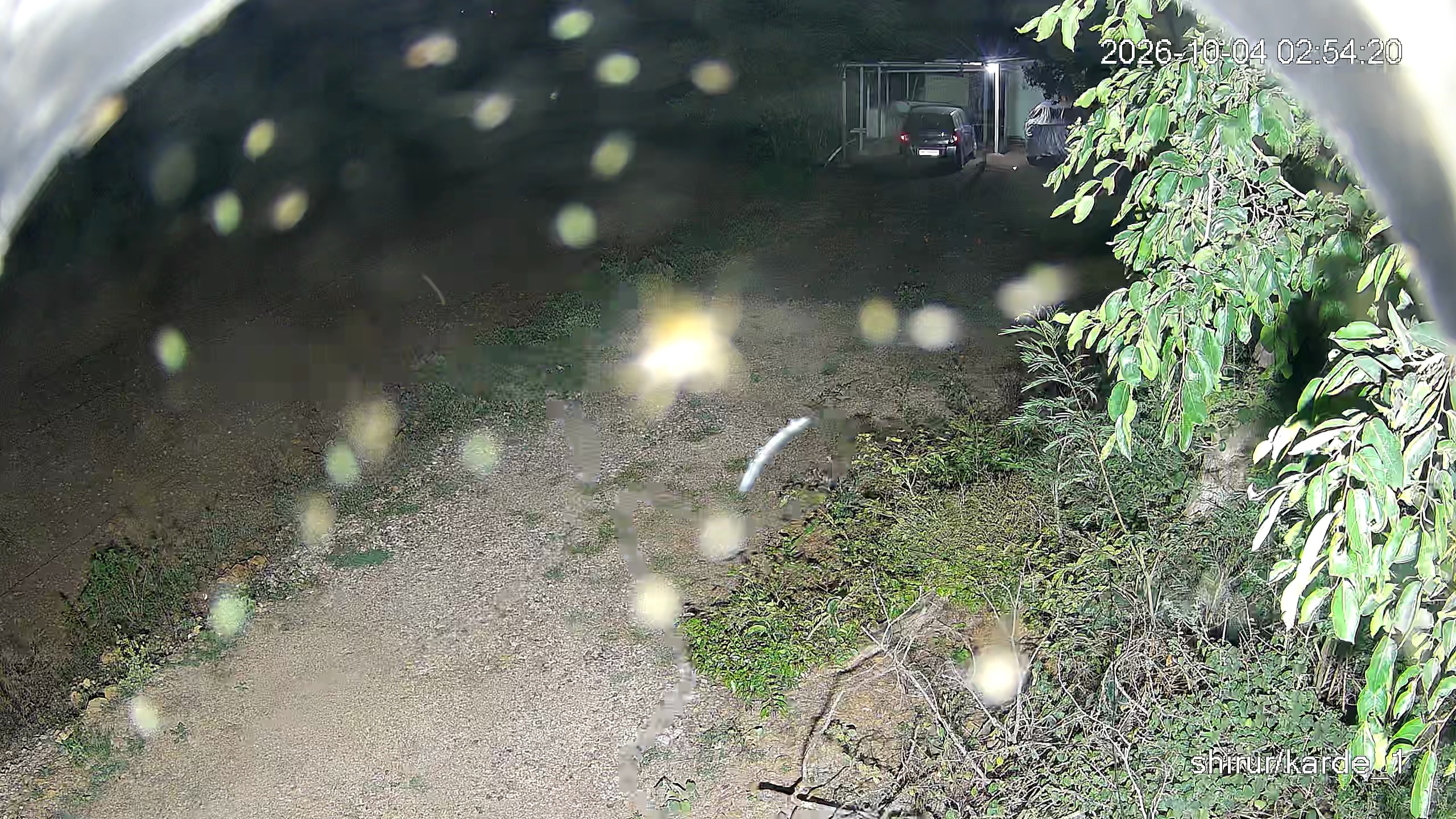 Leopard Image