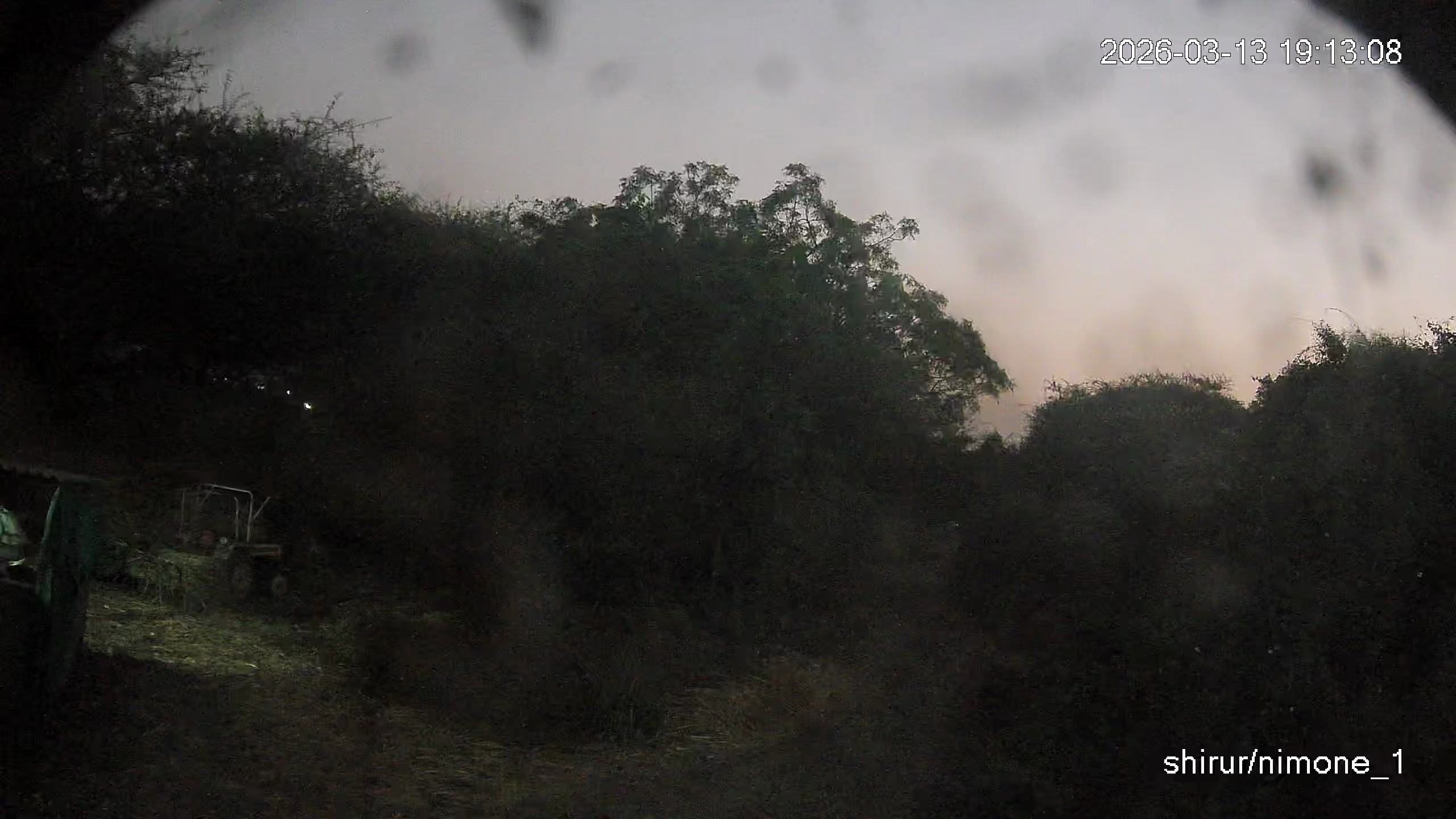 Leopard Image