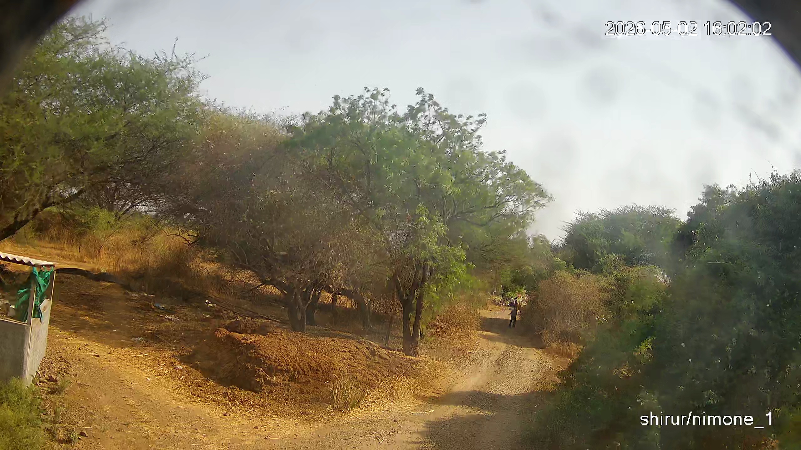 Leopard Image