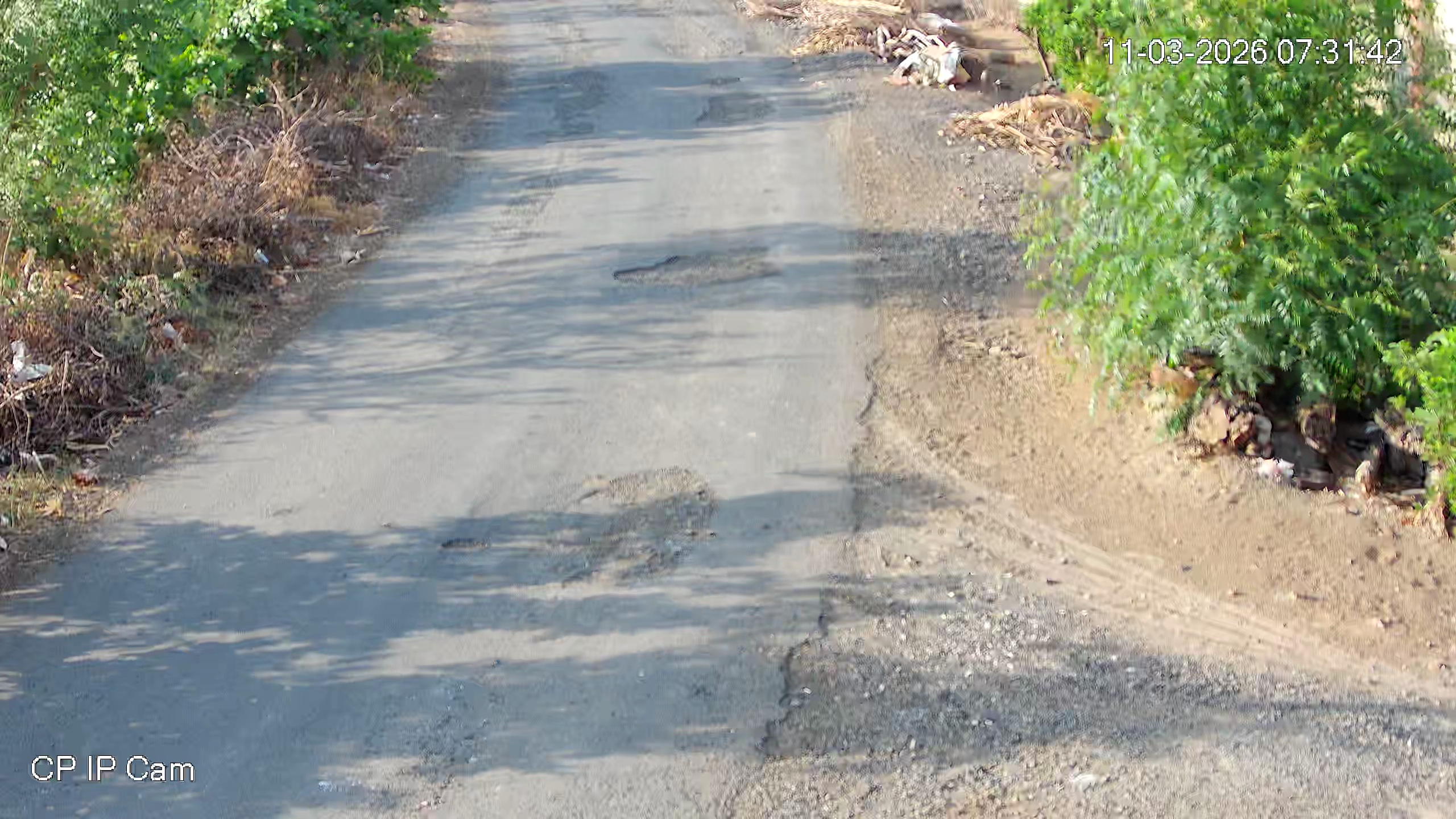 Leopard Image