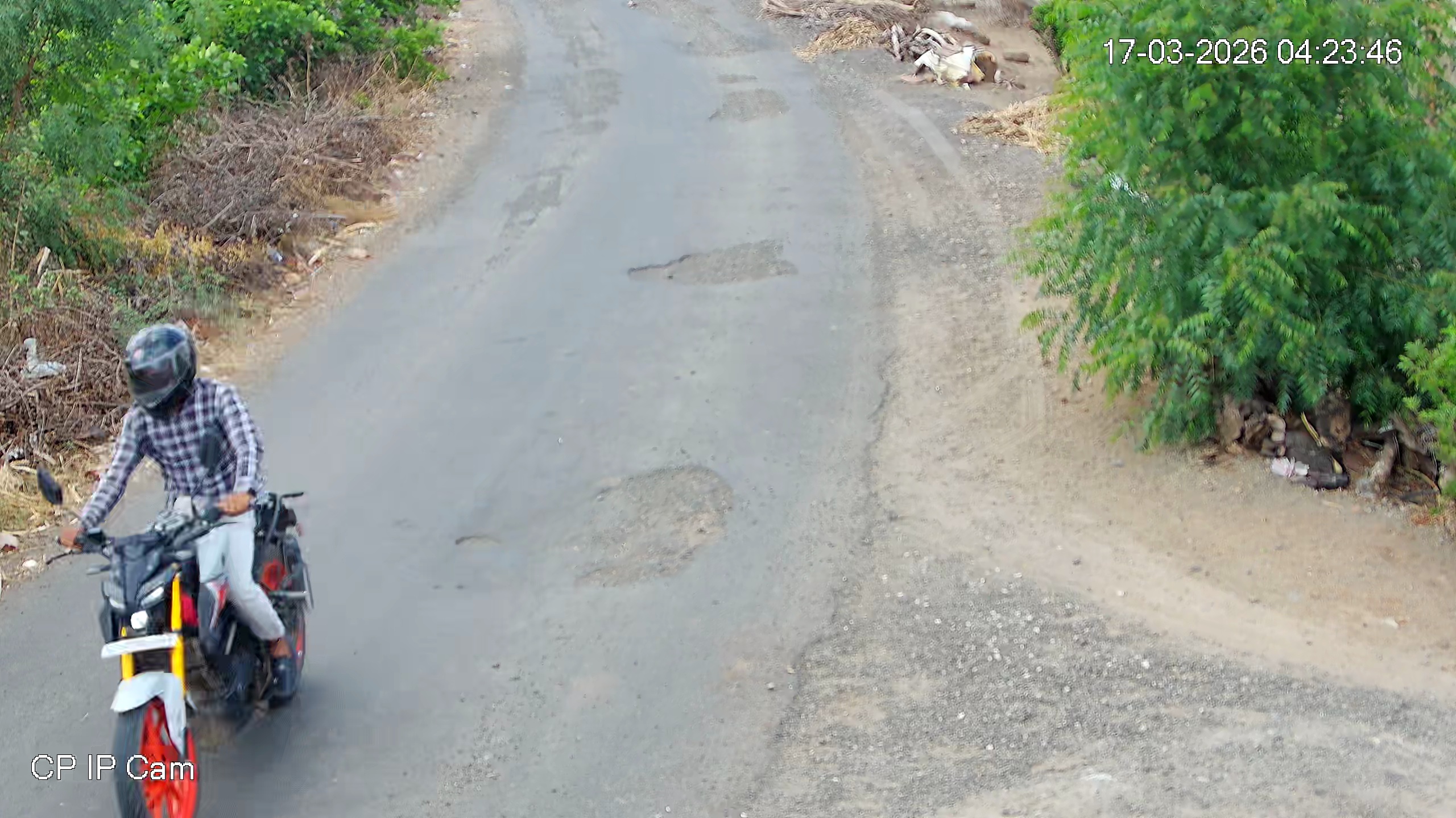 Leopard Image
