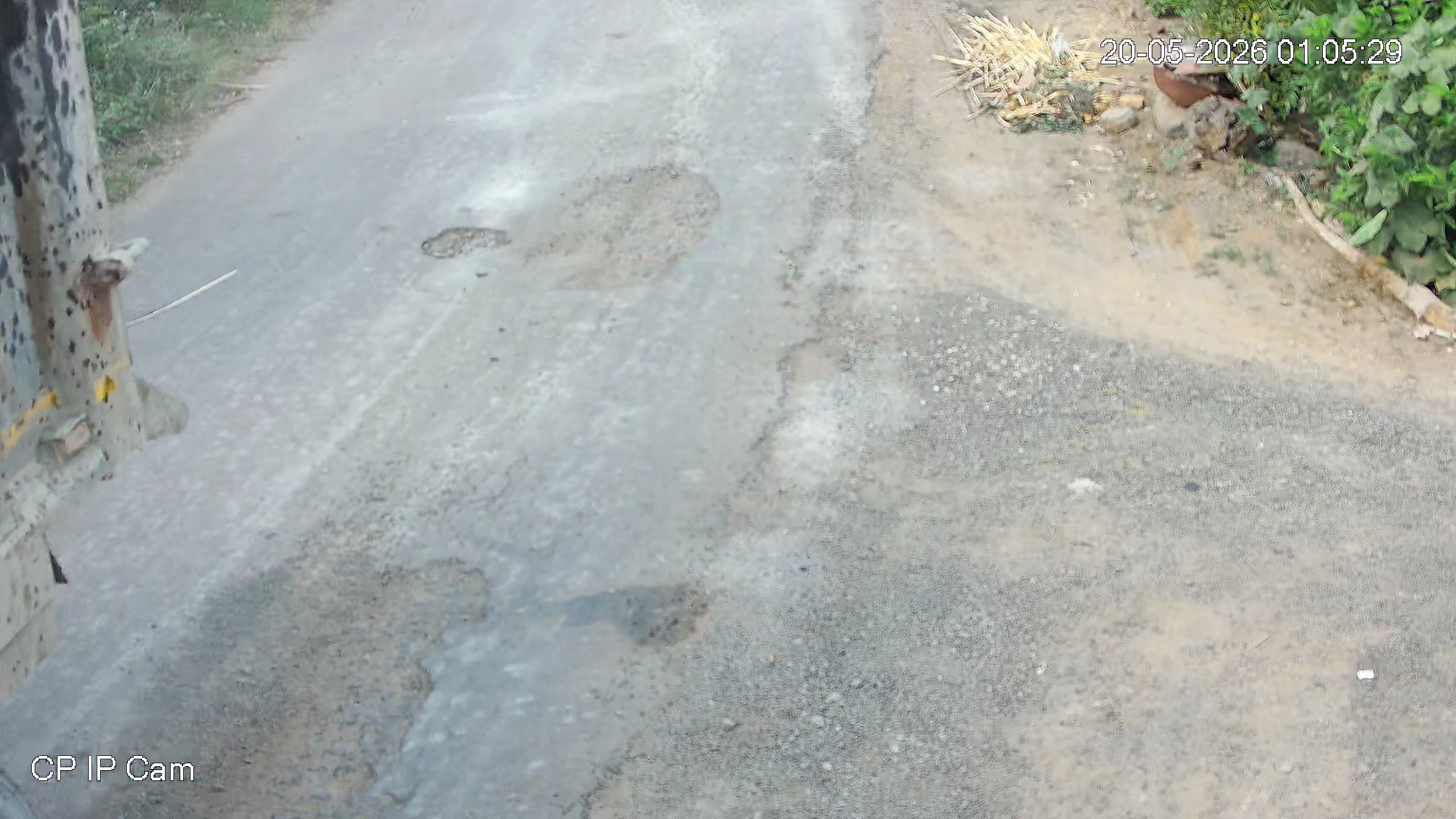 Leopard Image