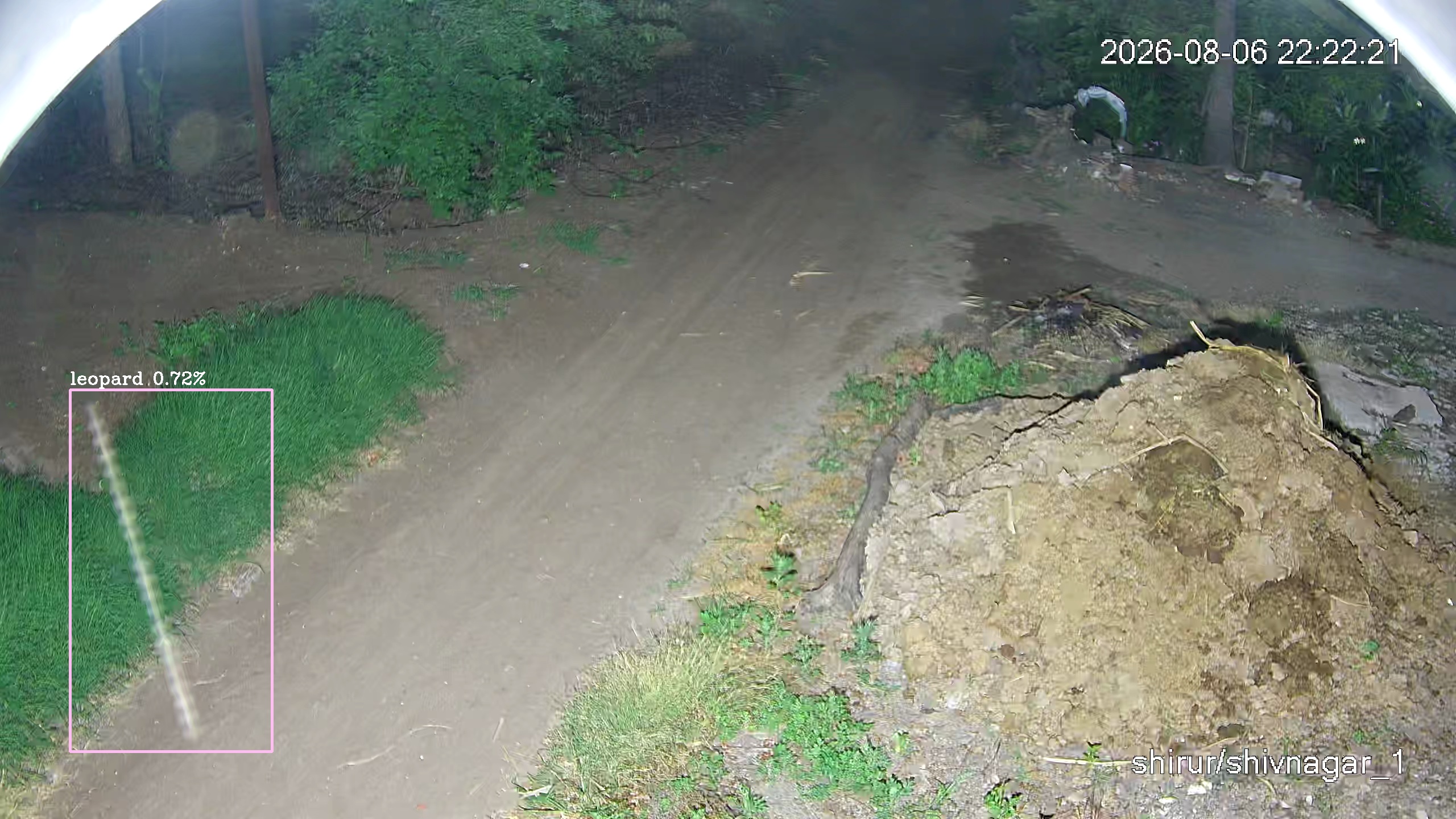 Leopard Image